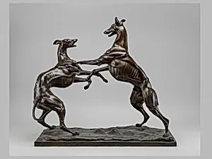 Greyhounds Playing