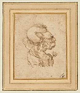 Grotesque Head of an Old Woman