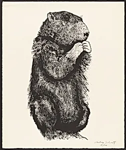 Ground Hog