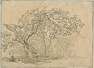 Grove of Trees [verso]