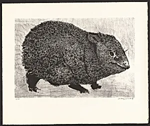 Guinea Pig