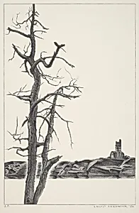 Halibut Point, Rockport