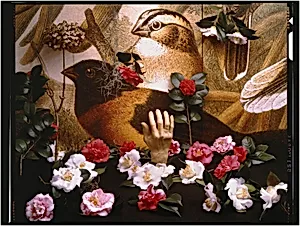 Hand of Man