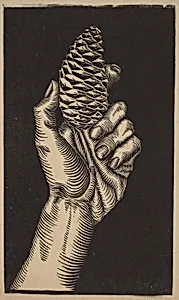 Hand with Fir Cone