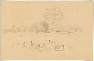 Harvesting, New England