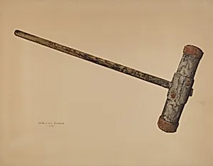 Hawsing Beetle