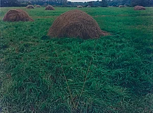 Haystack Cone, Freepoint, Maine