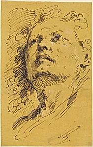 Head of a Man Looking Up