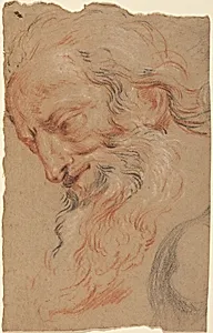 Head of an Old Man