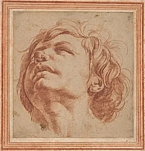 Head Study of a Young Man Looking Upward