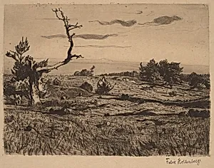 Heath with a Weathered Pine and a Path