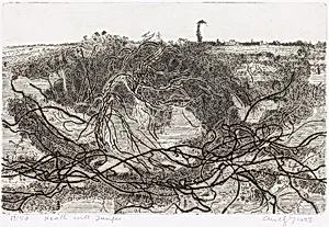 Heath with Junipers