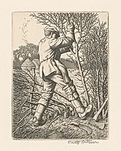 Hedge Laying