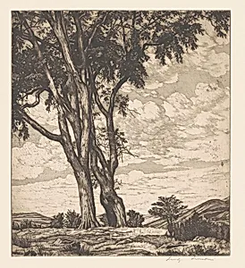 Hilltop Elms