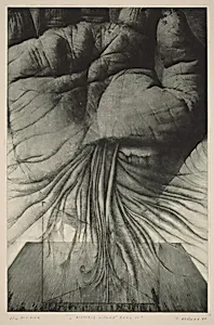 Historie lidské ruky IV/The History of Human Hands IV