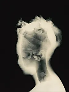 History's Shadow GM12