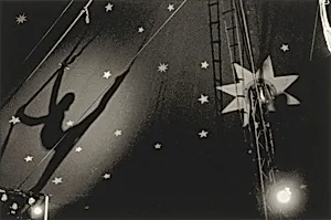 Homage to Matisse