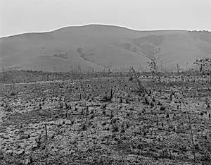 Home Site #2, Phillips Ranch, California