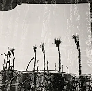 Homenaje a Pasolini, Ostia, Italia (Homage to Pasolini, Ostia, Italy)