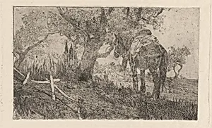 Horse at Midday (Cavallo a meriggio)
