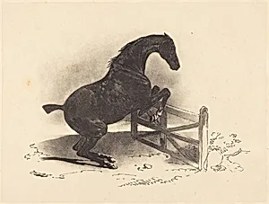 Horse Jumping a Barrier