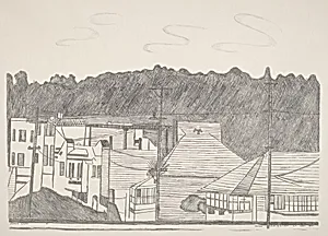 Houses Near S.S. Park S.F. Cal. No. 1