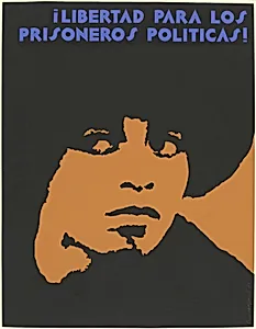 i Libertad para los Prisoneros Politicas!