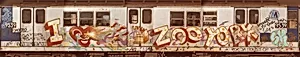 I Love Zoo York by Ali