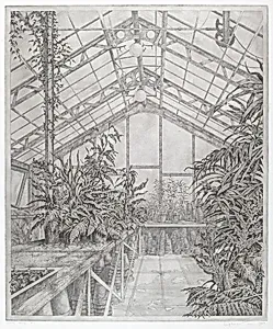 In the North Greenhouse