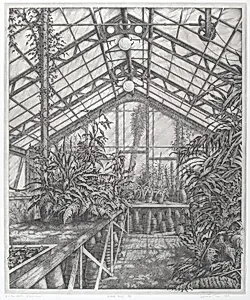 In the North Greenhouse