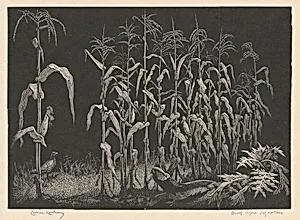 Indian Corn