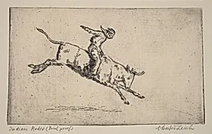 Indian Rodeo