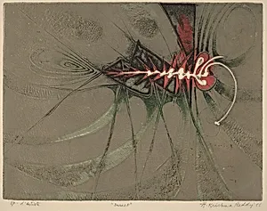 Insect