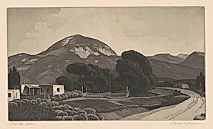 Into the Hills