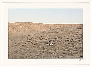 Iran, Untitled