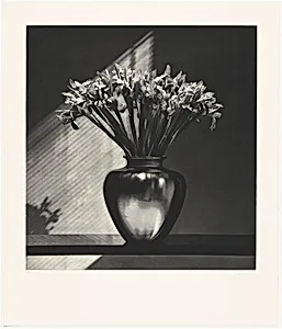 Irises