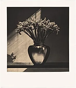 Irises