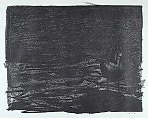 IX from Sea Bird Saga