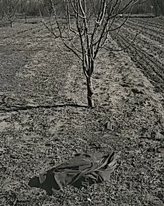 Jacket in front of Tree
