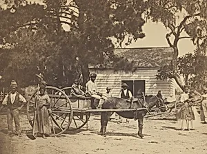 James Hopkinson's Plantation, Edisto Island, South Carolina