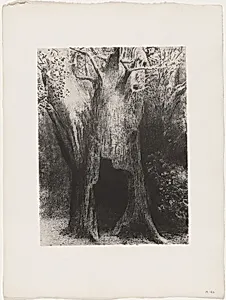 Je Me Suis Enfoncé dans la Solitude. J'habitais L'Arbre Derrière Moi