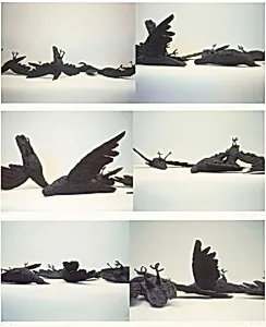 Jersey Crows