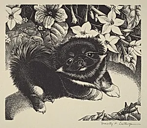 Kou Hsiung