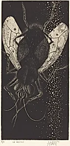 La Mouche (Fly)