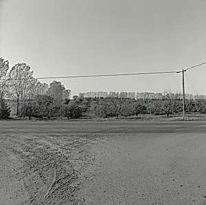 Landscape near Stillwater, Minnesota