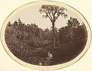 Landscape near Williams College