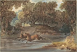 Landscape with Deer, North Carolina