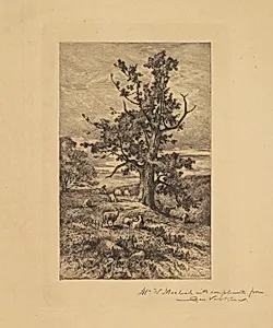Landscape with Sheep