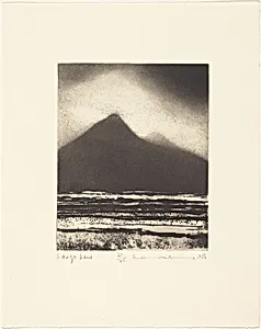 Largo Law