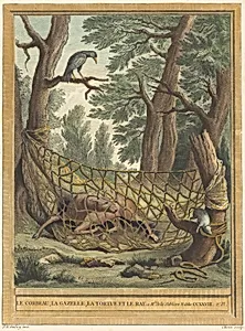 Le corbeau, la gazelle, la tortue et le rat (The Crow, the Gazelle, the Tortoise, andthe Rat)